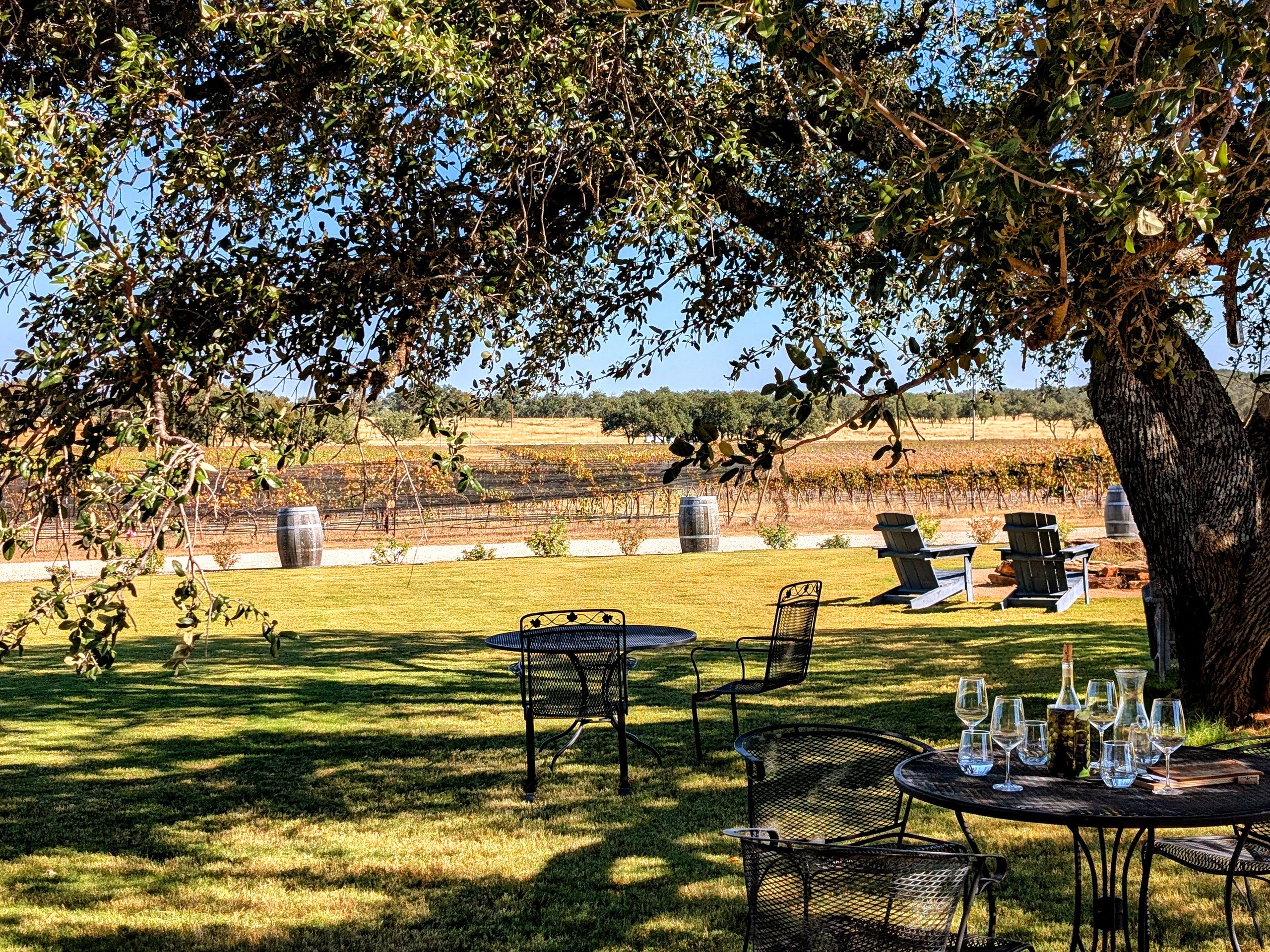 Sandy Road Vineyards